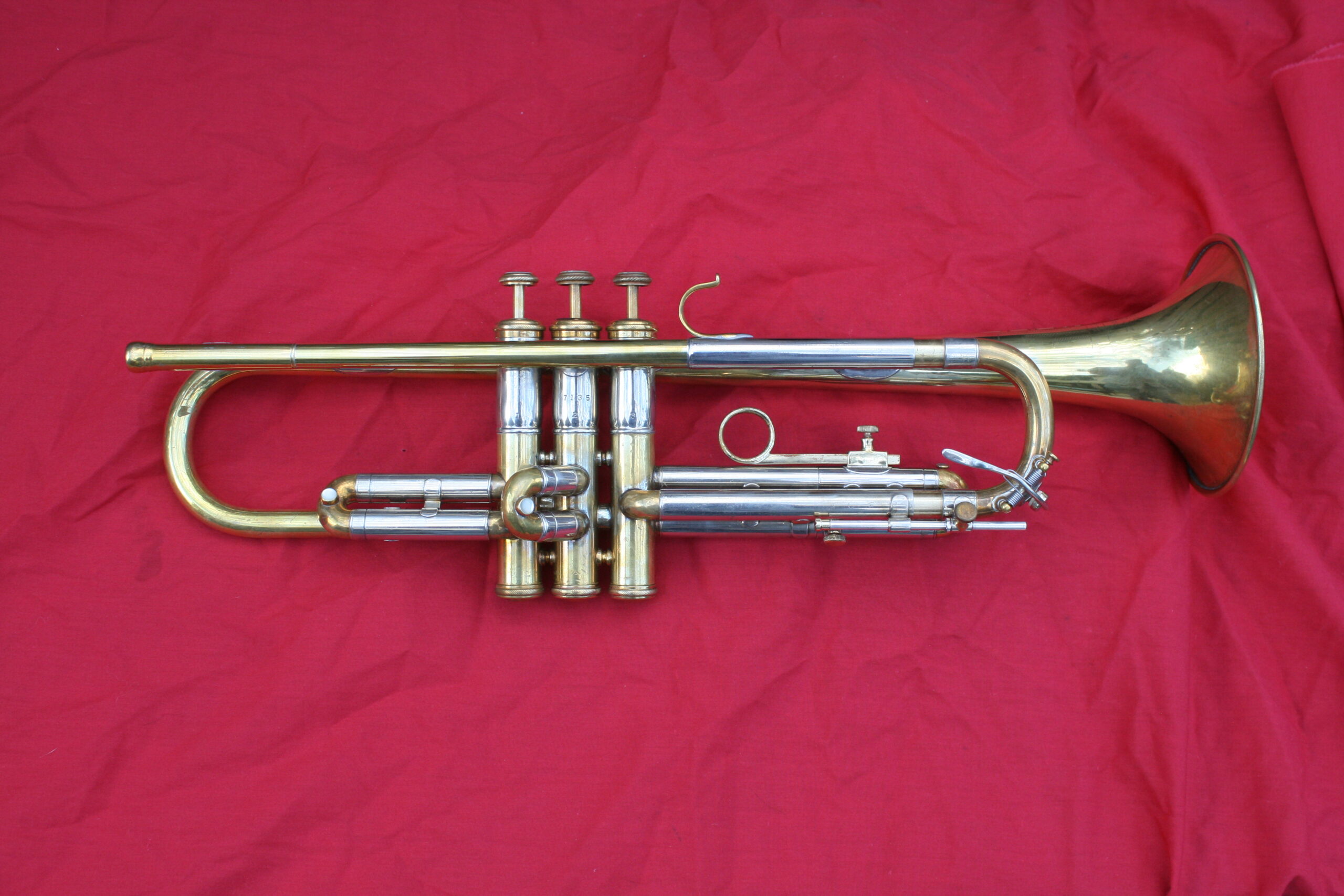 Trumpet - usually about 19 inches long